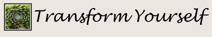 transform yourself final